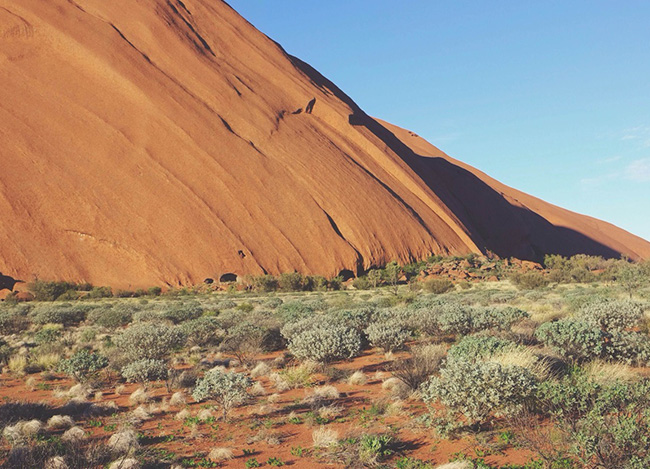 帮您省时省力的ddos页端